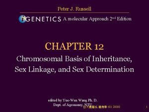 Peter J Russell A molecular Approach 2 nd