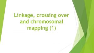 Linkage crossing over and chromosomal mapping 1 Linked