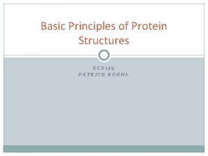 Basic Principles of Protein Structures ECS 129 PATRICE