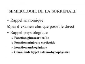 SEMEIOLOGIE DE LA SURRENALE Rappel anatomique pas dexamen