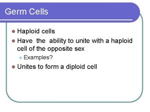 Germ Cells l Haploid cells l Have the