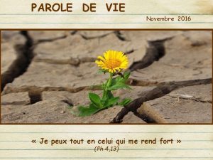 PAROLE DE VIE Novembre 2016 Je peux tout