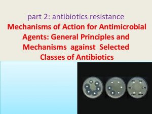 part 2 antibiotics resistance Mechanisms of Action for
