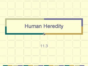 Human Heredity 11 3 Human Chromosomes Humans have