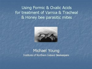 Using Formic Oxalic Acids for treatment of Varroa