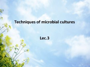 Techniques of microbial cultures Lec 3 Microbial growth