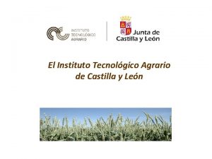 El Instituto Tecnolgico Agrario de Castilla y Len