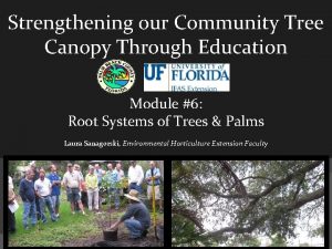 Strengthening our Community Tree Canopy Through Education Module