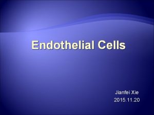 Endothelial Cells Jianfei Xie 2015 11 20 Introduction