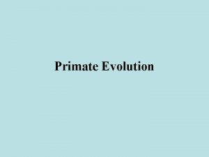 Primate Evolution The Cenozoic Era The Cenozoic Era