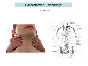 Lymphstmme Lymphwege Dr Altdorfer Gl submandibularis Lymphe klares