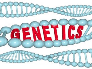 GENETICS Genetics Video Clips Learn about Heredity http