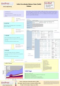 www uniprot org Uni Prot Nonredundant Reference Cluster