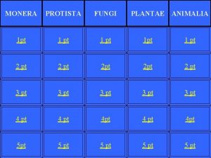 MONERA PROTISTA FUNGI PLANTAE ANIMALIA 1 pt 1