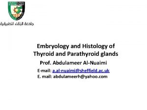 Histological structure of parathyroid gland