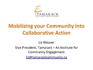 Mobilizing your Community into Collaborative Action Liz Weaver