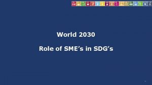 World 2030 Role of SMEs in SDGs Nr