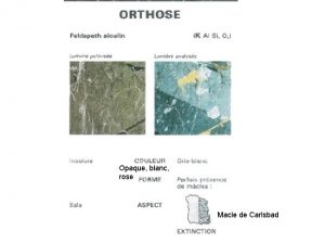 Macle de carlsbad orthose