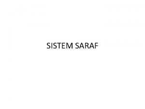 SISTEM SARAF Berdasarkan struktur fungsinya 1 Sistem Saraf