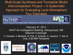 MultiScale Synthesis and Terrestrial Model Intercomparison Project A