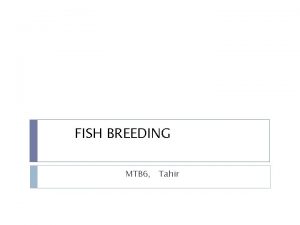 FISH BREEDING MTB 6 Tahir FISH BREEDING Brood