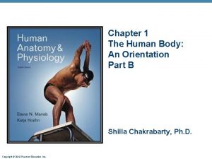 Chapter 1 The Human Body An Orientation Part