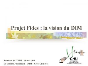 Projet Fides la vision du DIM Journes du