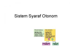 Sistem Syaraf Otonom Sistem Syaraf Otonom Sensorik Viseral
