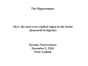 The Hippocampus AKA the most overstudied region in