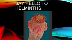 SAY HELLO TO HELMINTHS HELMINTHS Multicellular invertebrate worms
