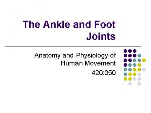 Anatomy and physiology of the foot
