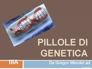 PILLOLE DI GENETICA IIIA Da Gregor Mendel ad