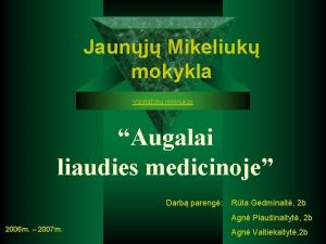 Jaunj Mikeliuk mokykla Vaistaoli rinkinukas Augalai liaudies medicinoje