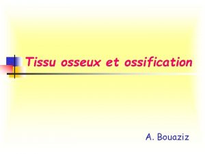 Tissu osseux et ossification A Bouaziz Tissu osseux