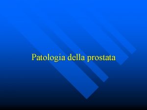 Patologia della prostata Anatomia della prostata n n