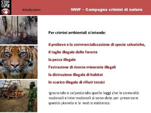 Intoduzione WWF Campagna crimini di natura Per crimini