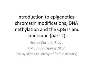 Introduction to epigenetics chromatin modifications DNA methylation and