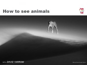 How to see animals WITH DAVID YARROW Ethereal