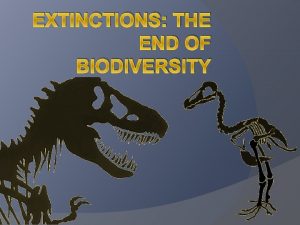 EXTINCTIONS THE END OF BIODIVERSITY What is extinction