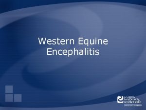 Western Equine Encephalitis Overview Organism History Epidemiology Transmission