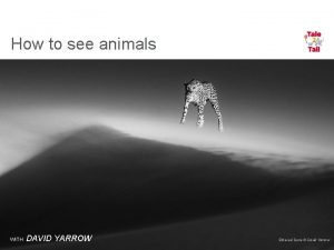 How to see animals WITH DAVID YARROW Ethereal
