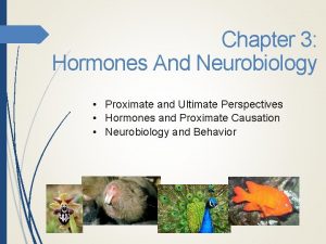 Chapter 3 Hormones And Neurobiology Proximate and Ultimate