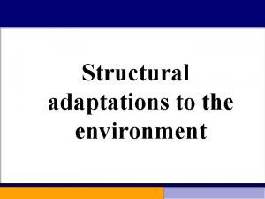 Structural adaptations to the environment Structural adaptations to