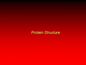 Protein Structure Protein Structure 1 o The linear