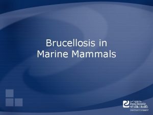 Brucellosis in Marine Mammals Overview Organism History Epidemiology