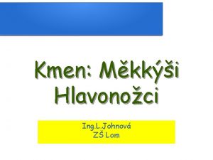 Kmen Mkki Hlavonoci Ing L Johnov Z Lom