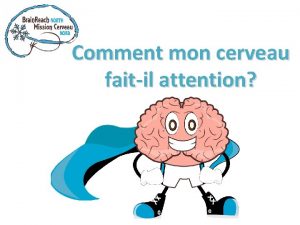 Comment mon cerveau faitil attention Quelle partie du