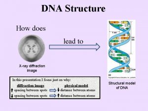 DNA Structure How does lead to Xray diffraction