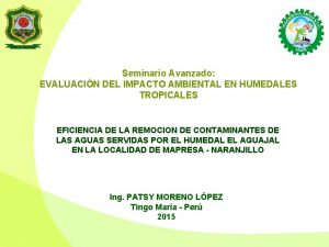 Seminario Avanzado EVALUACIN DEL IMPACTO AMBIENTAL EN HUMEDALES