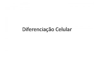 Diferenciao Celular Processo iniciado na fertilizao Entrada do